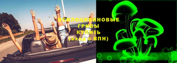 молекула духа Заводоуковск