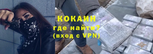 ПСИЛОЦИБИНОВЫЕ ГРИБЫ Ельня