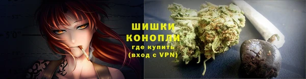 молекула духа Заводоуковск