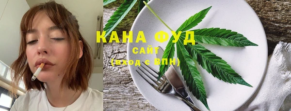 ПСИЛОЦИБИНОВЫЕ ГРИБЫ Ельня