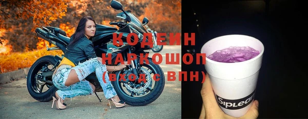 молекула духа Заводоуковск