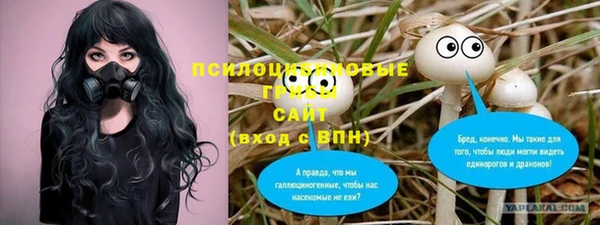 mdpv Заволжск