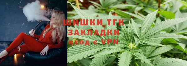 молекула духа Заводоуковск