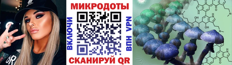 Галлюциногенные грибы Psilocybe  Купить закладки  Купино 